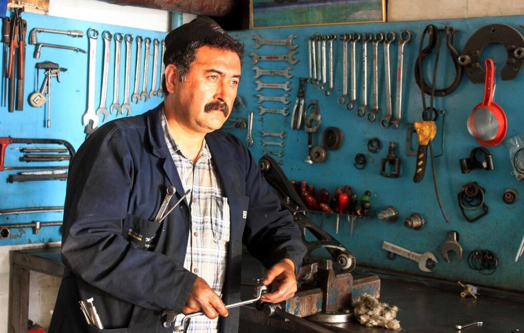 Expert Customization