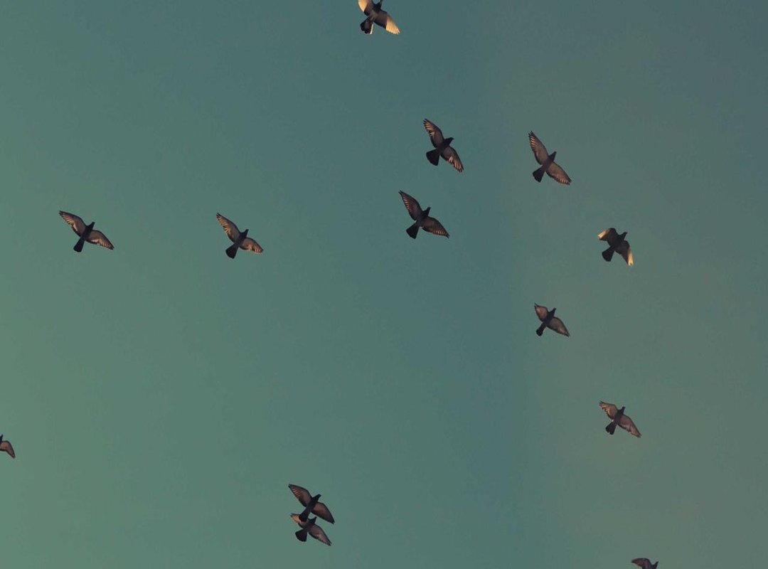 Decisive Matchups: Where the Game Will Be Won and Lost