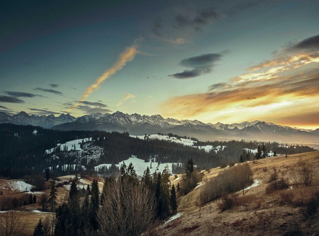 Pros and Cons: Limited Edition Collectibles