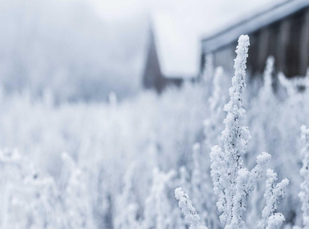 Justice for Lacey: The Legal Outcome for Her Parents