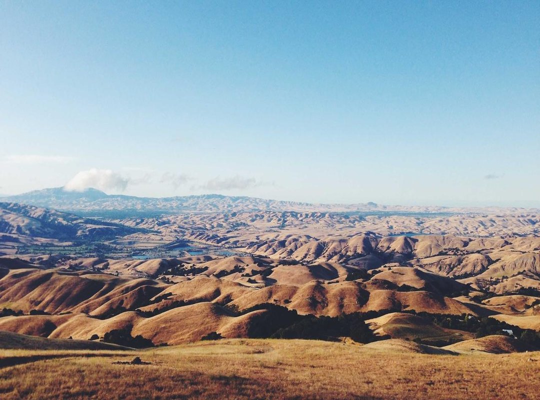 The Psychology of Appeal: Why This Genre Resonates