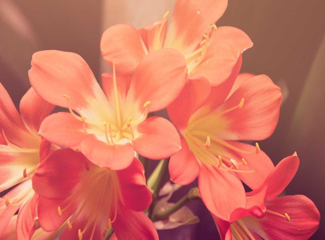 Solving Common Login Errors: What to Do When You're Stuck