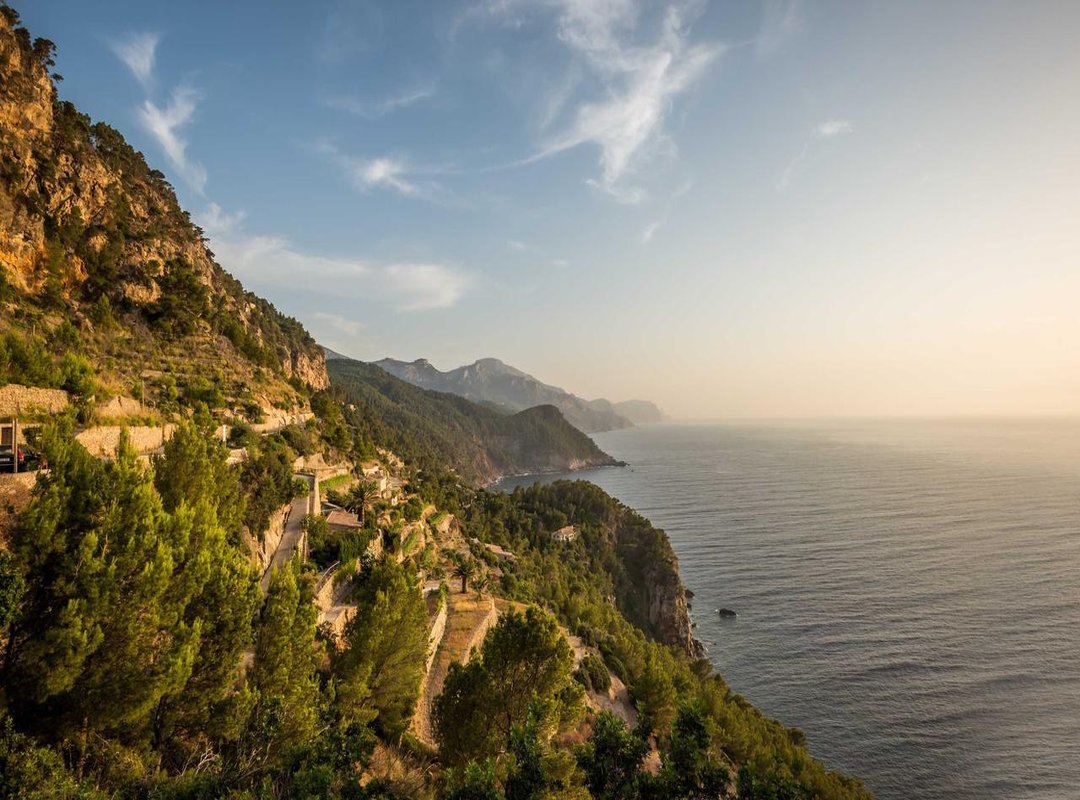 Advanced Tactics: How to Dominate Your Matches with the Hammer