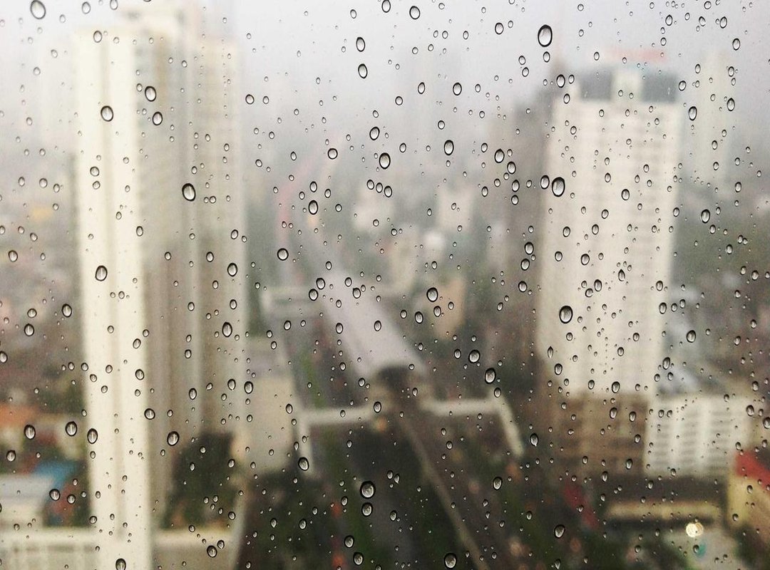 The Pro's Toolkit: Mikayla Campion's Controller and Game Settings