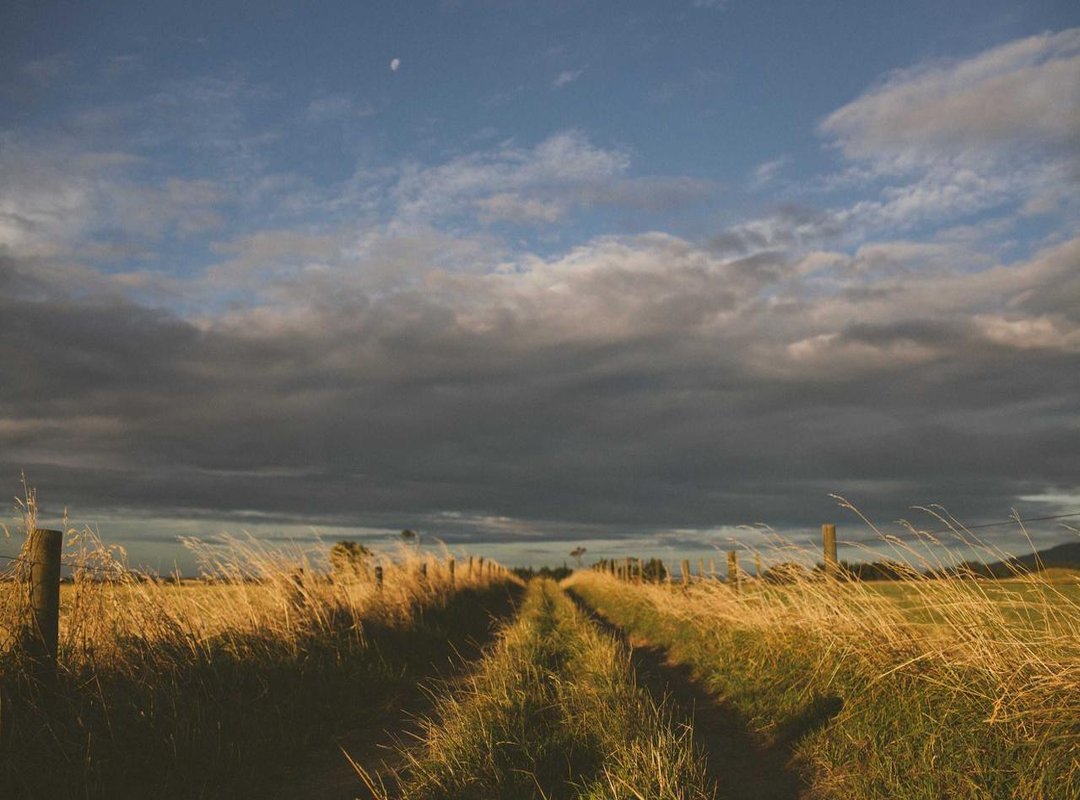 The Price Analysis: Is My Soul Supreme Worth the Investment?