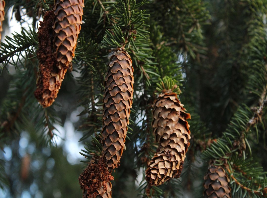 Important Safety Considerations Before You Visit