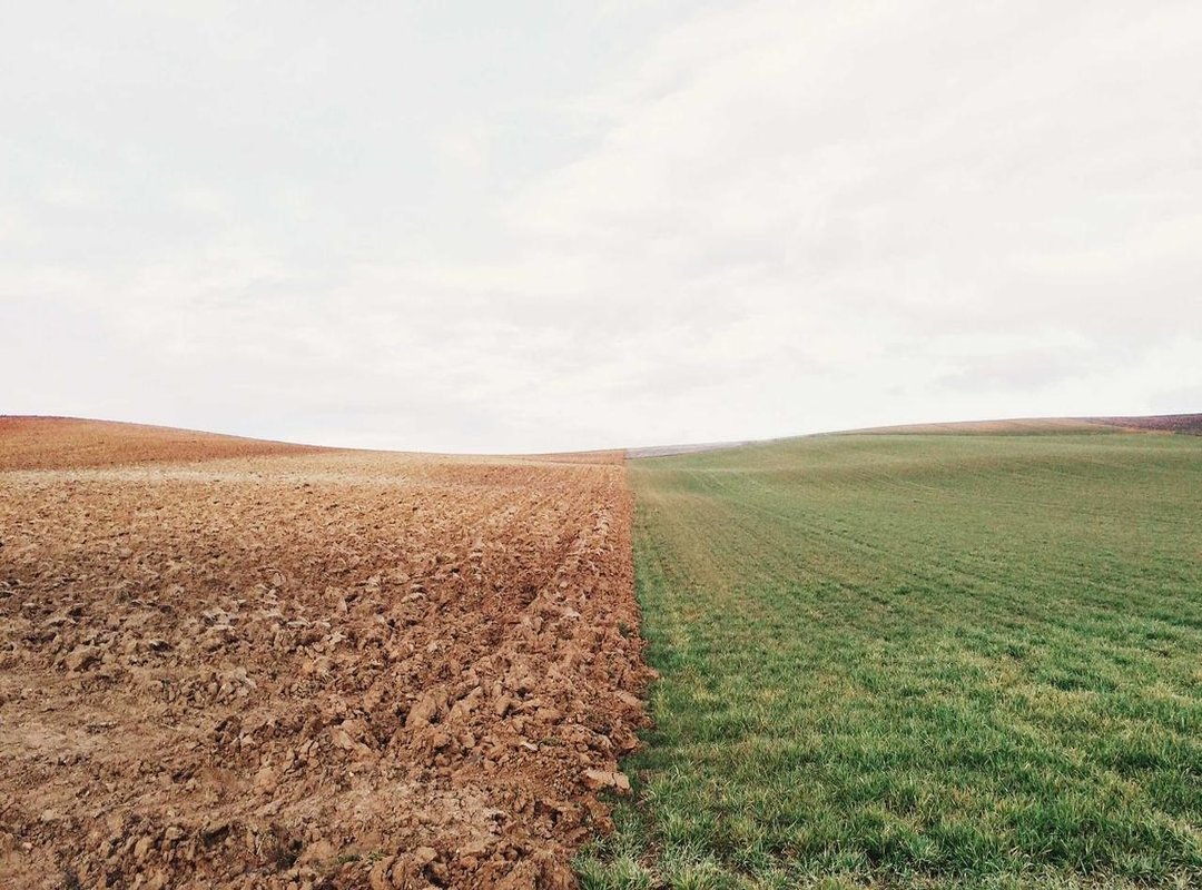 Getting Involved: A Guide for Newcomers