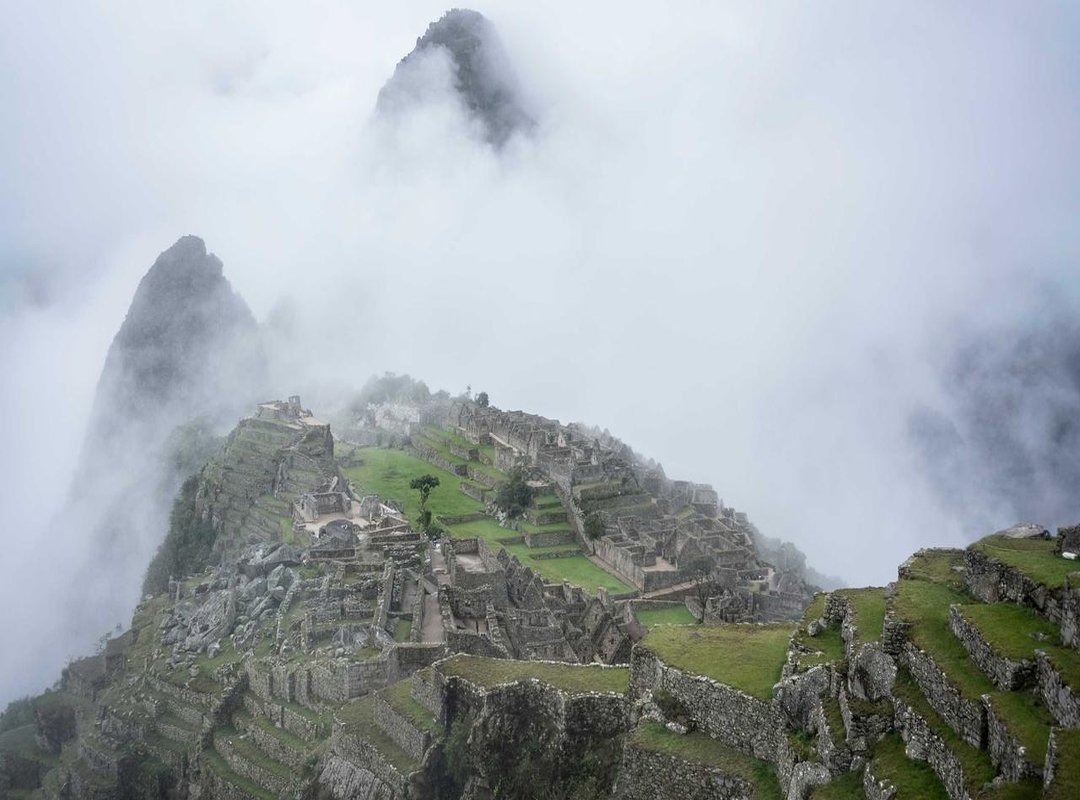 Beyond the Joke: Why the 'Quiero Agua' Meme Resonates